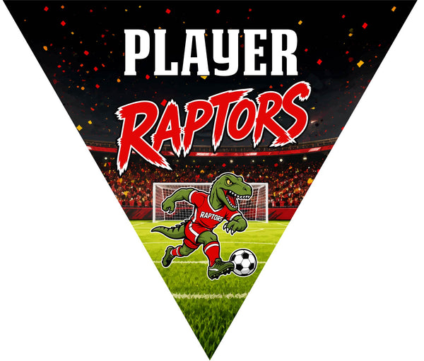 Raptors 2 - Triangle Soccer Banners