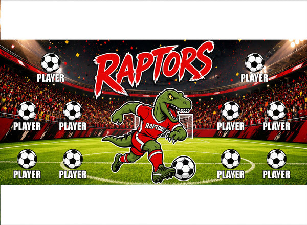 Raptors 2 Soccer Banner