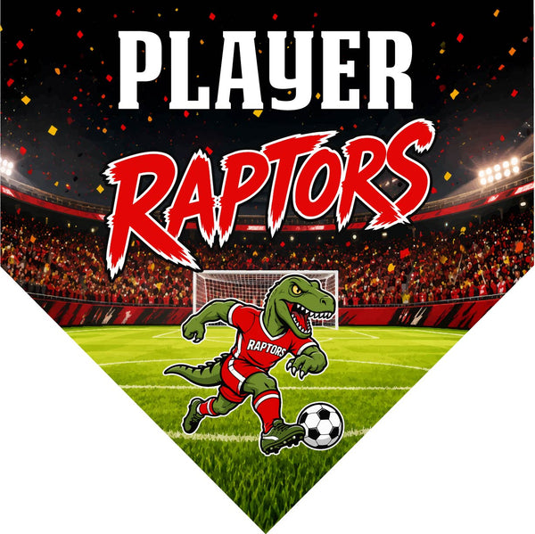 Raptors 2 - Homeplate Soccer Pennant