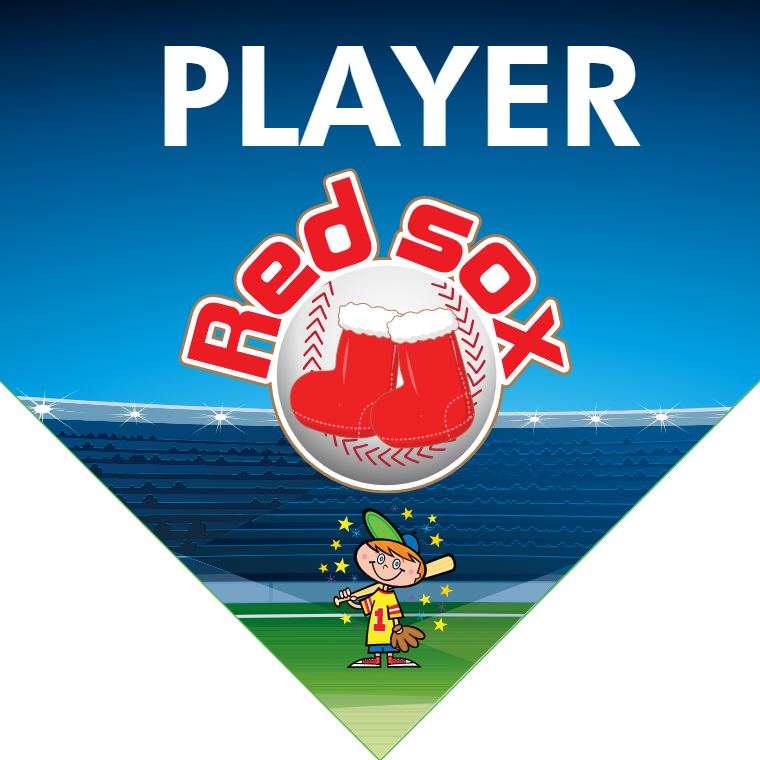 Red Sox - Home Plate Softball Pennant