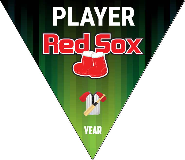 Red Sox - Triangle Softball Pennant