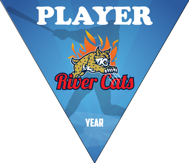 River Cats 2 - Triangle Softball Pennant