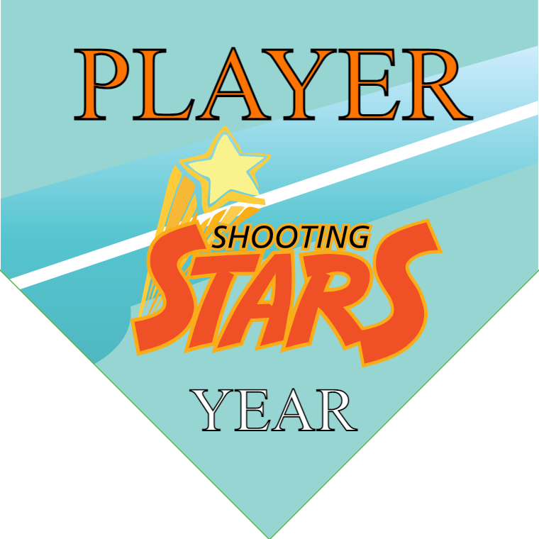 Shooting Stars 2 - Home Plate Softball Pennant
