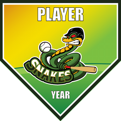 Snakes - Home Plate Softball Pennant
