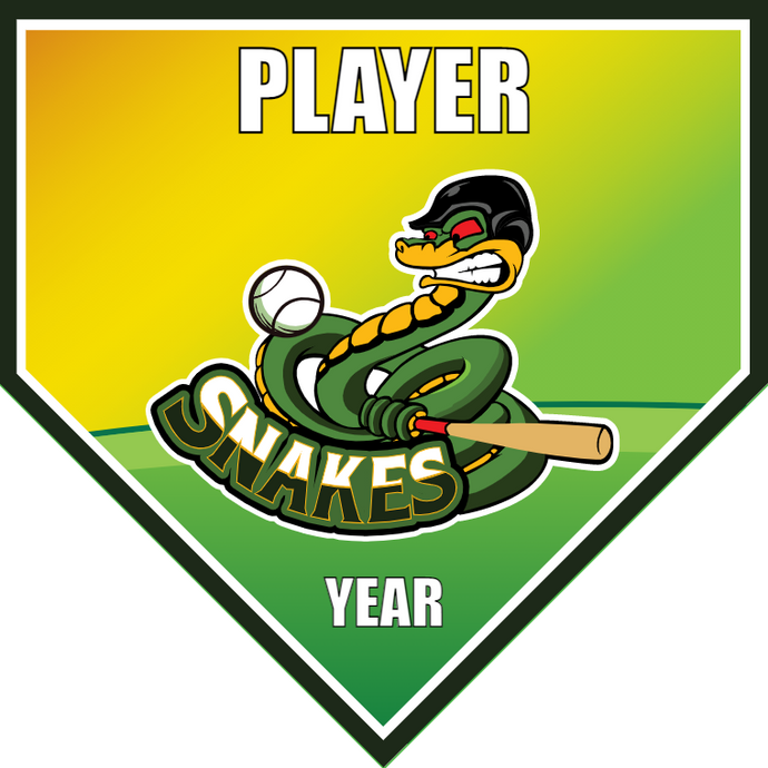 Snakes - Home Plate Softball Pennant – Team Sport Banners