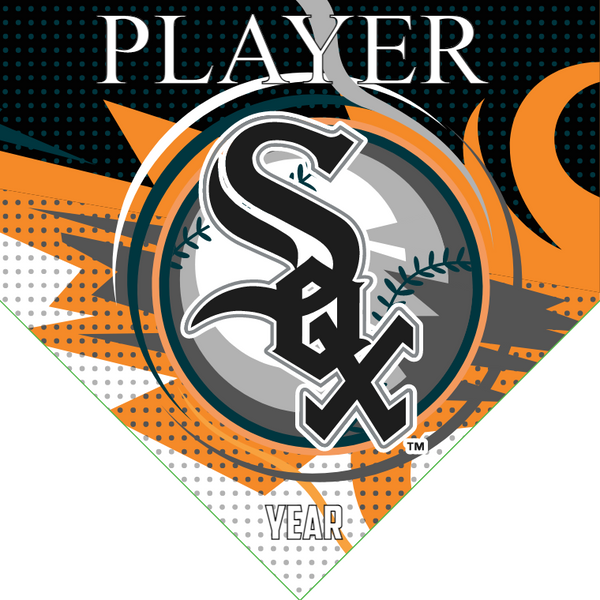 Sox 2 - Home Baseball Banners