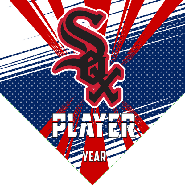Sox 5 - Home Baseball Banners