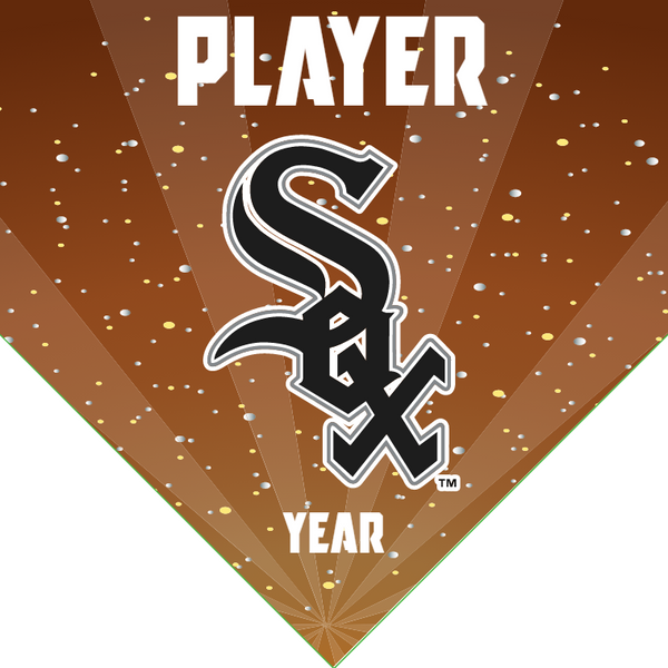 Sox 3 - Home Baseball Banners