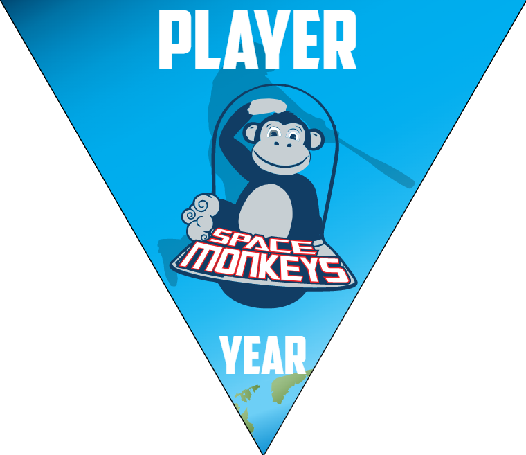 Space Monkeys - Triangle Softball Pennant