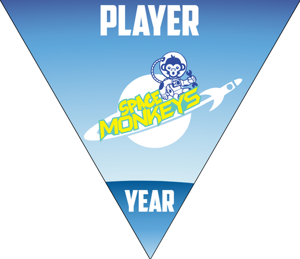 Space Monkeys 2 - Triangle Softball Pennant