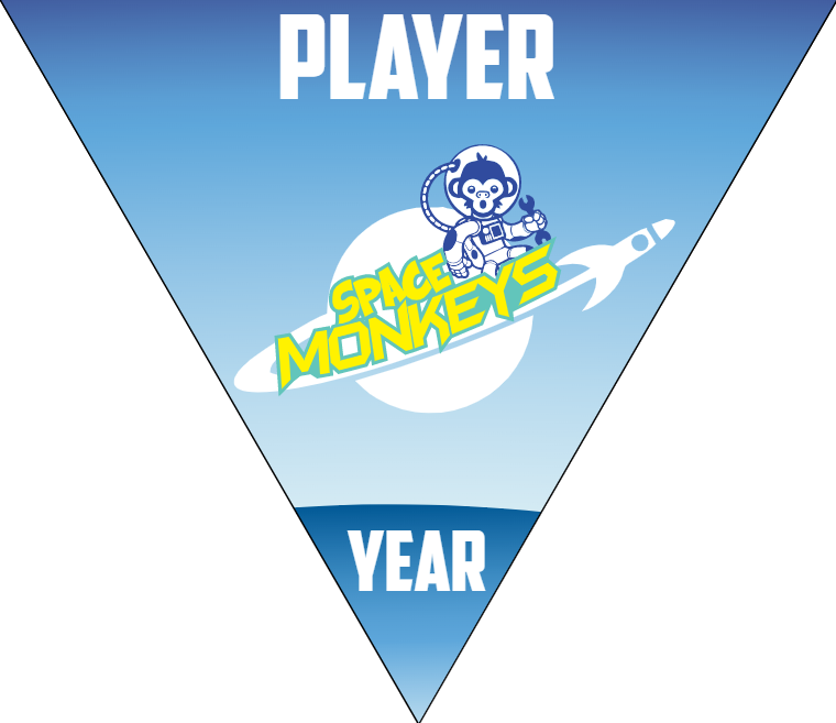 Space Monkeys 2 - Triangle Softball Pennant