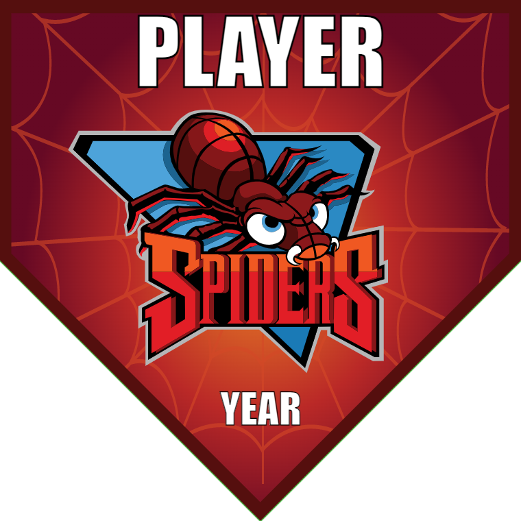 Spiders - Home Plate Softball Pennant