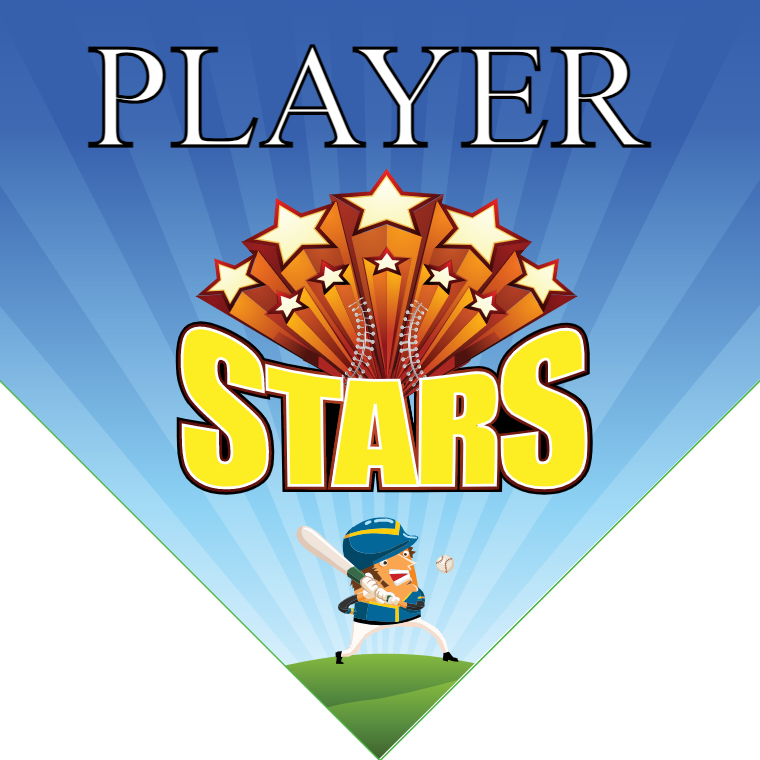 Stars - Home Plate Softball Pennant