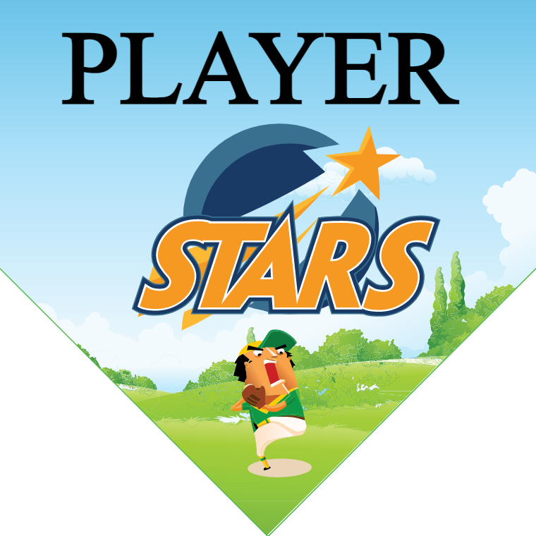 Stars 2 - Home Plate Softball Pennant