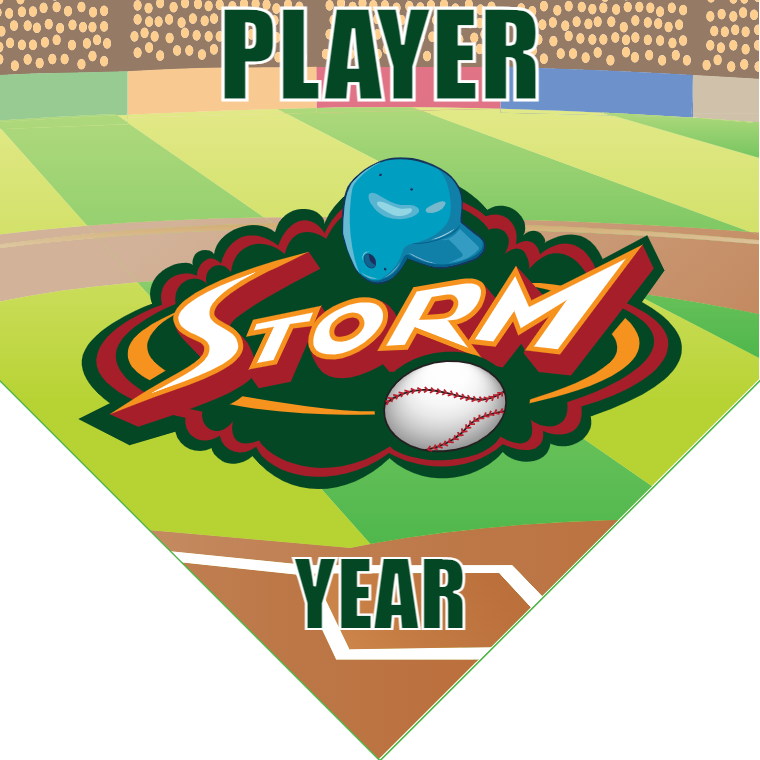 Storm - Home Plate Softball Pennant