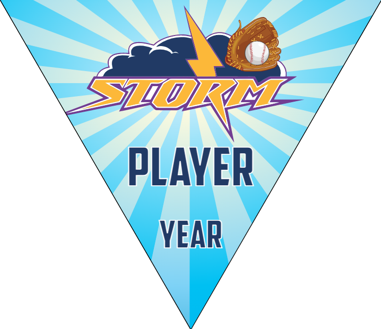 Storm - Triangle Softball Pennant