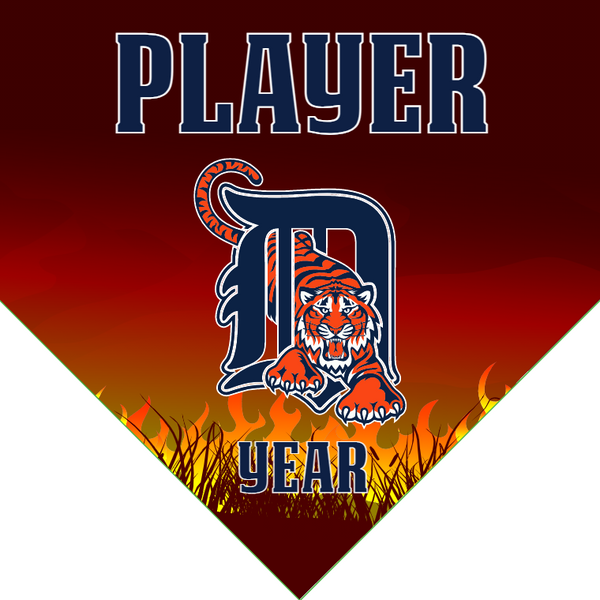 Detroit Tigers 3 - Home Baseball Banners