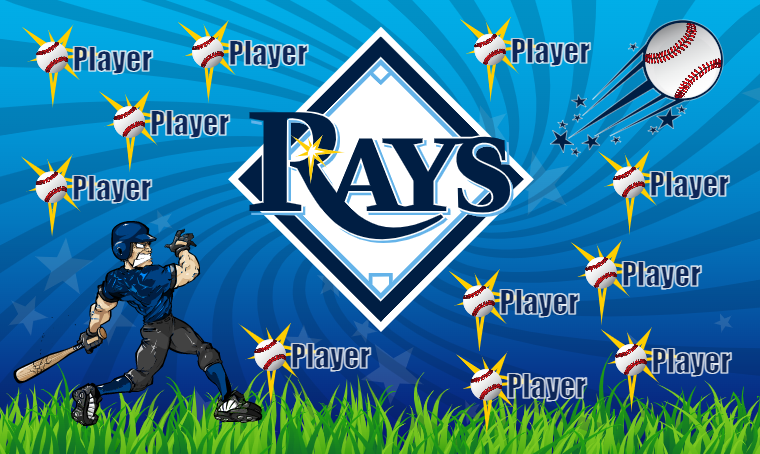 Tampa Bay Rays 2 - Baseball Banner