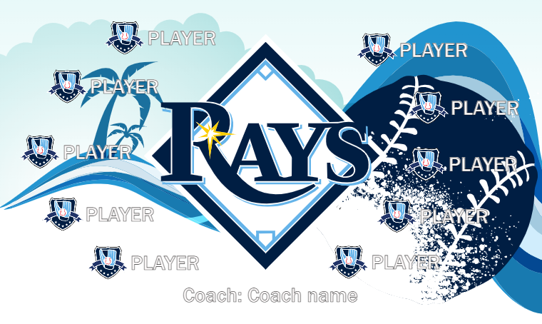 Tampa Bay Rays 3 - Baseball Banner