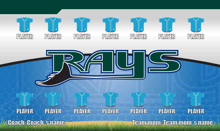 Tampa Bay Rays 4 - Baseball Banner