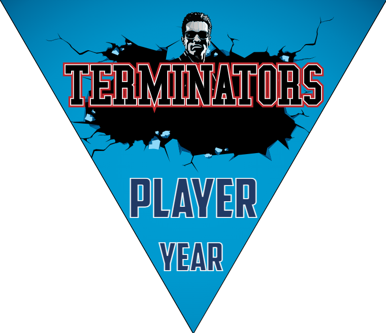 Terminators - Triangle Softball Pennant