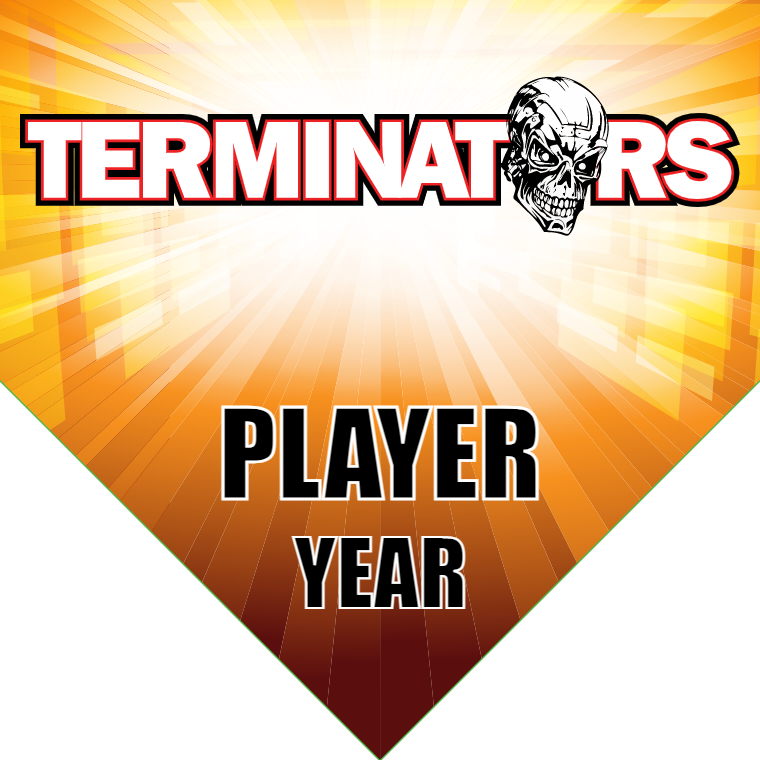 Terminators 2 - Home Plate Softball Pennant