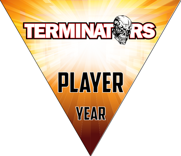 Terminators 2 - Triangle Softball Pennant