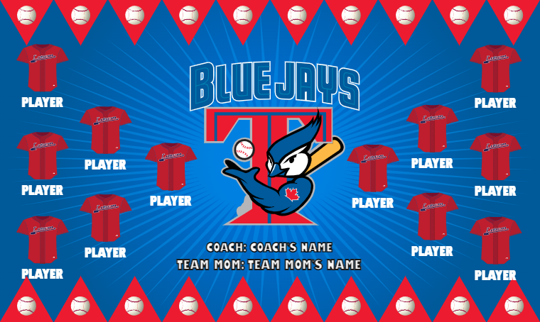 Toronto Blue Jays 4 - Baseball Banner