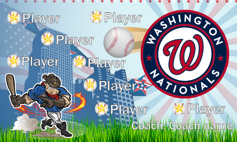 Washington Nationals - Baseball Banner