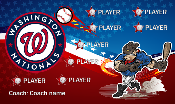 Washington Nationals 2 - Baseball Banner