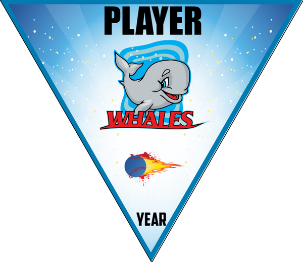 Whales - Triangle Softball Pennant