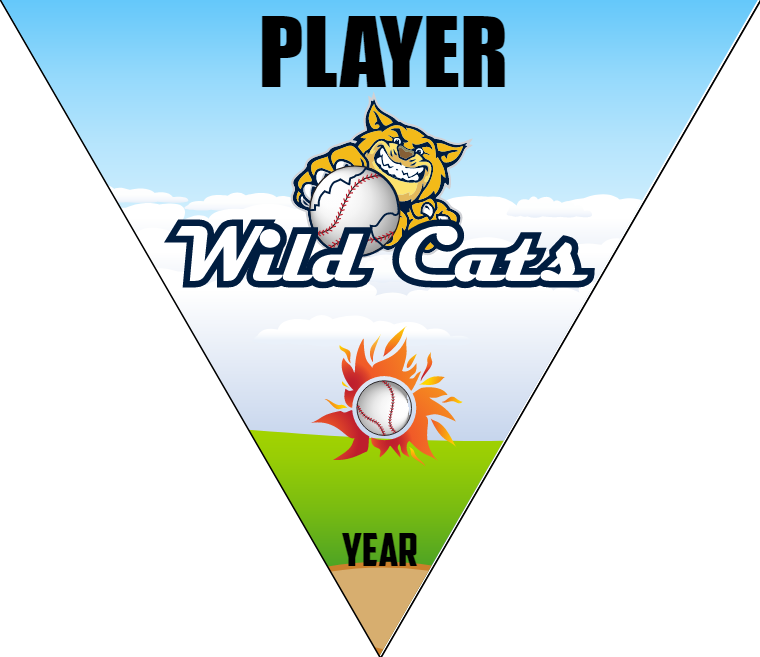 Wild Cats - Triangle Softball Pennant