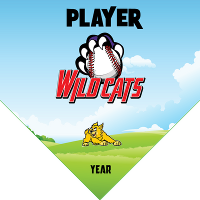Wild Cats 2 - Home Plate Softball Pennant