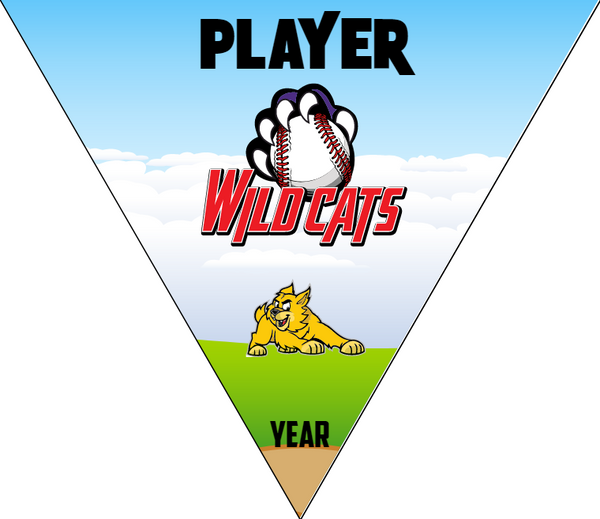 Wild Cats 2 - Triangle Softball Pennant