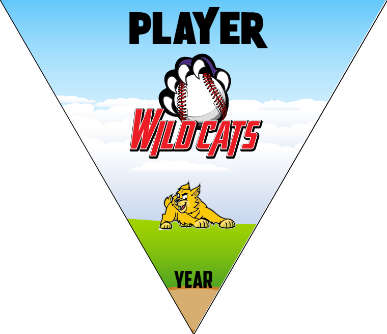 Wild Cats 2 - Triangle Softball Pennant