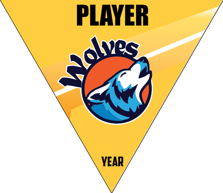 Wolves 2 - Triangle Softball Pennant